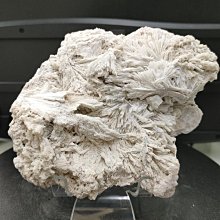 公寓404室 DVD 金書亨 金有貞 再生工場1 03 歷史價格詳細信息