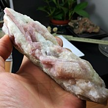 晶璽 淨阻美 BPF專利義大利香檸檬系列 (淨舒暢/淨抑康/淨美力) 歷史價格詳細信息