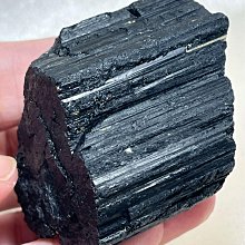 黑星病 互相比較 黑點病  僅供參考沒有販賣=圖片資料沒有販賣=不做任何形式應用 歷史價格詳細信息