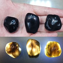 【光明之淚X風】DVD彩色光盤 歷史價格詳細信息