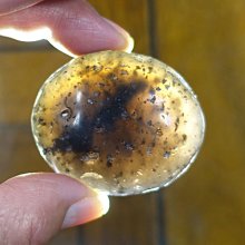 §能量礦石§ 印尼隕石 Agni Manitite 火山玻璃 82.25g 神聖之火的珍珠 烈火石 價格比較,價格查詢,歷史價格詳細信息