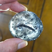 G-6786【西洋歐美】My Stepdaddy Is My Sugar Daddy 6 歷史價格詳細信息