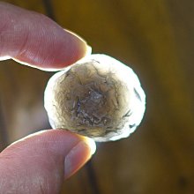 §能量礦石§ 亞利桑那隕石Saffordite Arizona天狼星隕石 重14.65g 歷史價格詳細信息