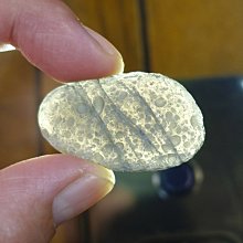 §能量礦石§ 亞利桑那隕石Saffordite Arizona天狼星隕石 重14.65g 歷史價格詳細信息