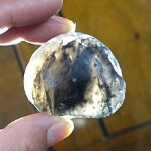 G-6866【西洋歐美】DESPERATE HOUSEWIVES CRAVE FRESH COCK 11 歷史價格詳細信息