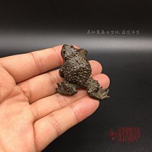 現貨古玩銅器古董雜項收藏仿古做舊仿黃銅紫銅釋迦摩尼佛像佛祖小擺件 歷史價格詳細信息