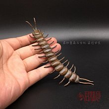 復古包漿銅茶寵貔貅擺件實心獨角獸茶臺桌面仿紫銅老銅器收藏品11810 歷史價格詳細信息