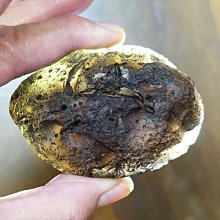 §能量礦石§ 哥倫比亞隕石 Columbianite 火山玻璃 27.90g 閃電石 愛睏石 歷史價格詳細信息