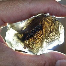 §能量礦石§ 哥倫比亞隕石 Columbianite 火山玻璃 27.90g 閃電石 愛睏石 歷史價格詳細信息