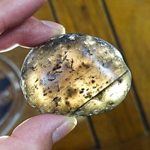 [G]神魔之塔 實體卡片 仰望者瘋帽 歷史價格詳細信息