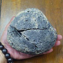 [G]神魔之塔 實體卡片 仰望者瘋帽 歷史價格詳細信息