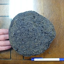 [G]神魔之塔 實體卡片 仰望者瘋帽 歷史價格詳細信息