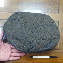 §能量礦石§ 印尼隕石 Agni Manitite 火山玻璃 68.66g 神聖之火的珍珠 烈火石 歷史價格詳細信息