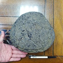 [G]神魔之塔 實體卡片 仰望者瘋帽 歷史價格詳細信息