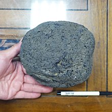 [G]神魔之塔 實體卡片 仰望者瘋帽 歷史價格詳細信息