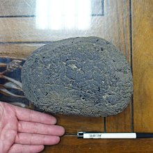 [G]神魔之塔 實體卡片 仰望者瘋帽 歷史價格詳細信息