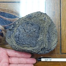 §能量礦石§ 印尼zebra druzy 斑馬晶簇瑪瑙球1343g 直徑101mm 編號16 歷史價格詳細信息