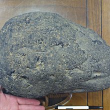 §能量礦石§ 印尼隕石 Agni Manitite 火山玻璃 68.66g 神聖之火的珍珠 烈火石 歷史價格詳細信息