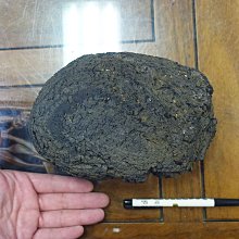 [G]神魔之塔 實體卡片 仰望者瘋帽 歷史價格詳細信息