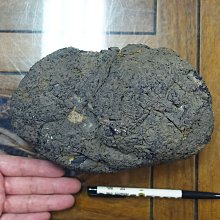 [G]神魔之塔 實體卡片 仰望者瘋帽 歷史價格詳細信息