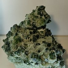 可議價)骨力勁® SILVER 骨骼專用營養品 (成犬貓用) 30錠 新包裝 歷史價格詳細信息