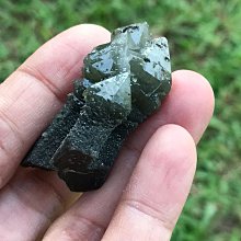 本標編號old.X3號老虎奇楠香游水海豚正宗越南芽莊上等熟沉 歷史價格詳細信息