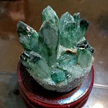 【嚴選有品】仿真海洋生物海底魷魚玩具花枝動物水母大王烏賊模型男孩生日禮物 歷史價格詳細信息