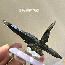 泊姆克齒輪泵1121102634 歷史價格詳細信息