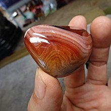 「天天特賣」自行車腳踏鎖山地車鎖踏轉平踏培林鋁合金腳蹬軸承騎行配件 歷史價格詳細信息