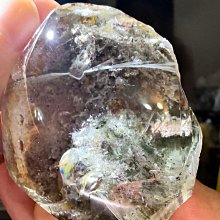 彩虹水母金豪藍芽喇叭 水母藍芽喇叭 藍牙喇叭 藍芽喇叭 音樂季 音樂節 party 贈品 藍芽音箱 揚聲器 音響 免持通 歷史價格詳細信息