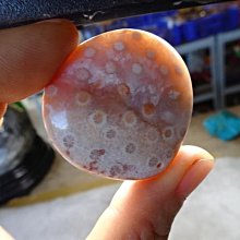 《藍晶寶石玉石特賣區》→〈項鍊系列〉→天然超玉化清透明顯菊花玉髓特大水滴形項鍊〈佛教七寶之一〉→W99 歷史價格詳細信息