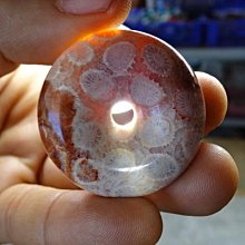 《藍晶寶石玉石特賣區》→〈項鍊系列〉→天然超玉化清透明顯菊花玉髓特大水滴形項鍊〈佛教七寶之一〉→W99 歷史價格詳細信息