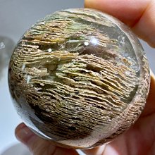 巴西木盆栽四季常青盆景室內辦公室家居大型植物清新空氣綠植 歷史價格詳細信息