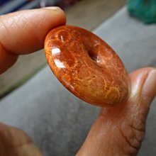 《藍晶寶石玉石特賣區》→〈項鍊系列〉→天然超玉化清透明顯菊花玉髓特大水滴形項鍊〈佛教七寶之一〉→W99 歷史價格詳細信息