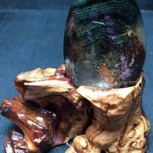 輕舞韓風兔女郎長版T(Q0885-AS&W)/二色任選 歷史價格詳細信息