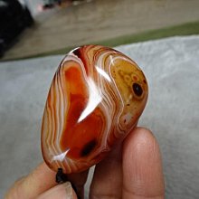 「天天特賣」自行車腳踏鎖山地車鎖踏轉平踏培林鋁合金腳蹬軸承騎行配件 歷史價格詳細信息