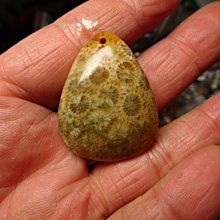 七彩虹 藍寶石顯卡7750 1g顯卡，拆 歷史價格詳細信息