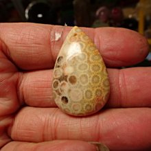 七彩虹 藍寶石顯卡7750 1g顯卡，拆 歷史價格詳細信息