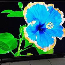 ⭕超大桶 2000g Ab潔牙骨  Astar多效雙頭 Ab潔牙骨 astar bones潔牙骨 Astar多效雙頭葉 歷史價格詳細信息