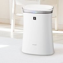 H50.除蟲菊種子160顆 歷史價格詳細信息