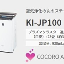 現貨NEXT兒童泳衣小寶寶男童男孩遊泳衣溫泉沙灘防曬帥氣連體泳裝 歷史價格詳細信息