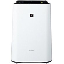 《Ousen現代的舖》現貨！天貓精靈【CCL】家庭智慧屏帶屏智能音箱音響《白、AI藍牙音箱、家用音響》 歷史價格詳細信息