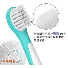 兒童用軟毛刷頭 PANASONIC 國際牌 DOLTZ 替換刷頭 白色 2入 EW0942 歷史價格詳細信息