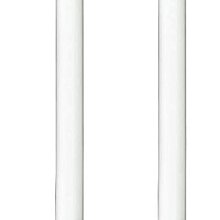 Panasonic EW0985-W 舌苔刷2入 舌頭清潔刷頭 適沖牙機 EW-DJ74 DJ54 EW [3東京直購] 歷史價格詳細信息