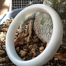 （私藏共賞）剛好端午要來了，小小一款魚簍香囊！朱東偉大師雕刻4311 歷史價格詳細信息