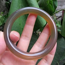 巴西木水培幸運木帶芽發貨小盆栽室內辦公室桌面水養懶人植物擺件 歷史價格詳細信息