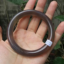 巴西木水培幸運木帶芽發貨小盆栽室內辦公室桌面水養懶人植物擺件 歷史價格詳細信息