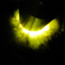 翡翠原石 緬甸翡翠 手鐲心陽綠底 天然翡翠  玉石 美玉 翡翠 原石 擺件【怡雅館】二手-876 歷史價格詳細信息