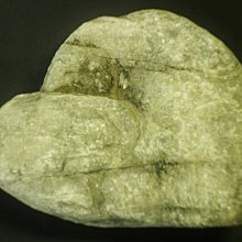 低價促銷????實木床1.5米松木雙人經濟型現代簡約1.8m出租房簡易單人床1.2床架 歷史價格詳細信息