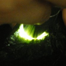 緬甸500元2004年版全新UNC外國錢幣保真紙鈔收藏護大金寺法神獅#紙幣#錢幣#外幣 歷史價格詳細信息